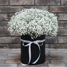 Цветочная композиция из Гипсофила в шляпной коробке #REPLACE_PRED# Кузнецах